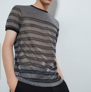Zara Stripe Metallic Thread Sweater
